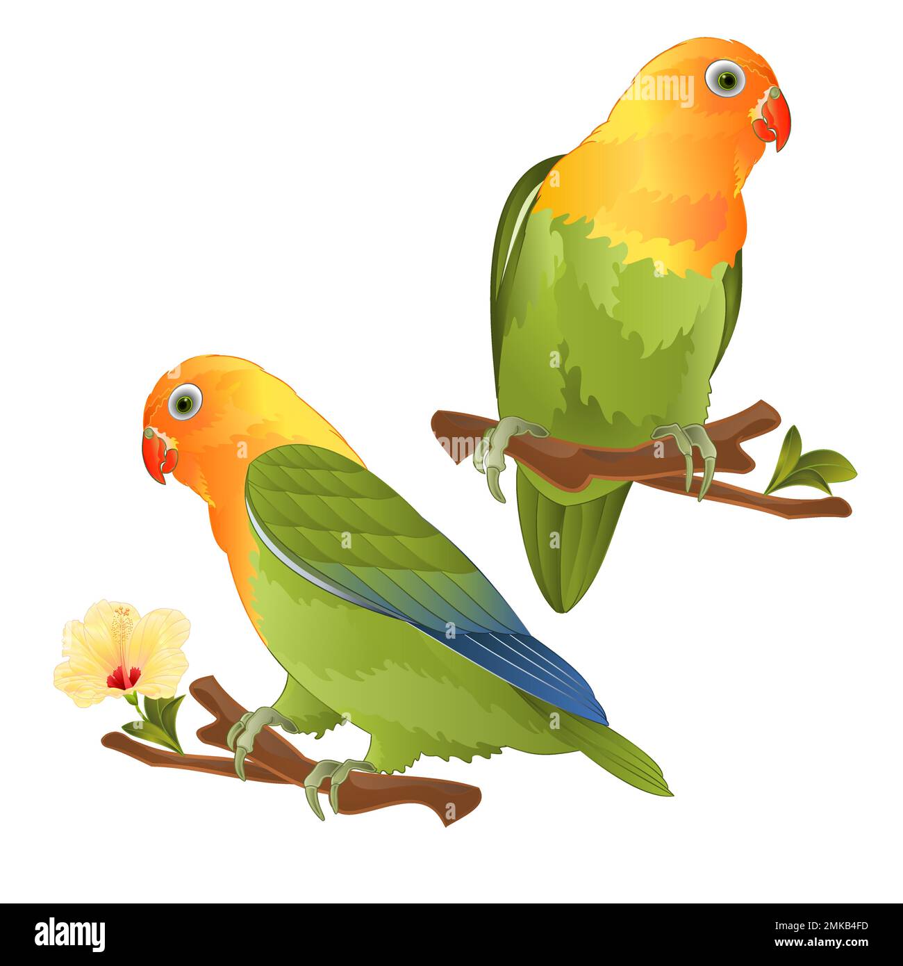 Parrots lovebird Agapornis tropical bird standing on a branch on a