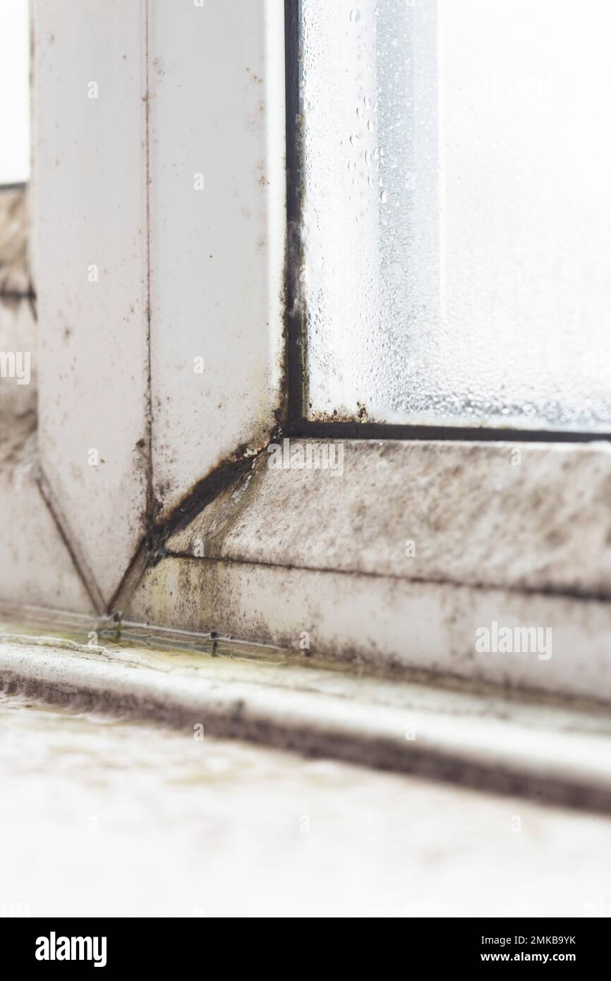 Condensation mould window hires stock photography and images Alamy