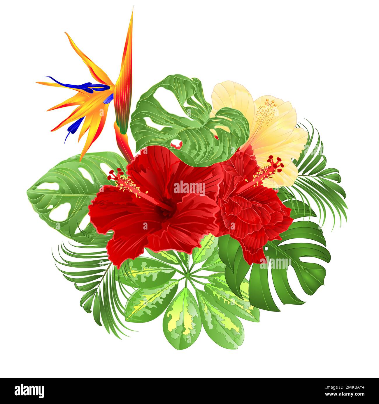 Bouquet with tropical flowers  floral arrangement with  Strelitzia and red and yellow hibiscus   palm,philodendron and Schefflera and Monstera  vintag Stock Vector