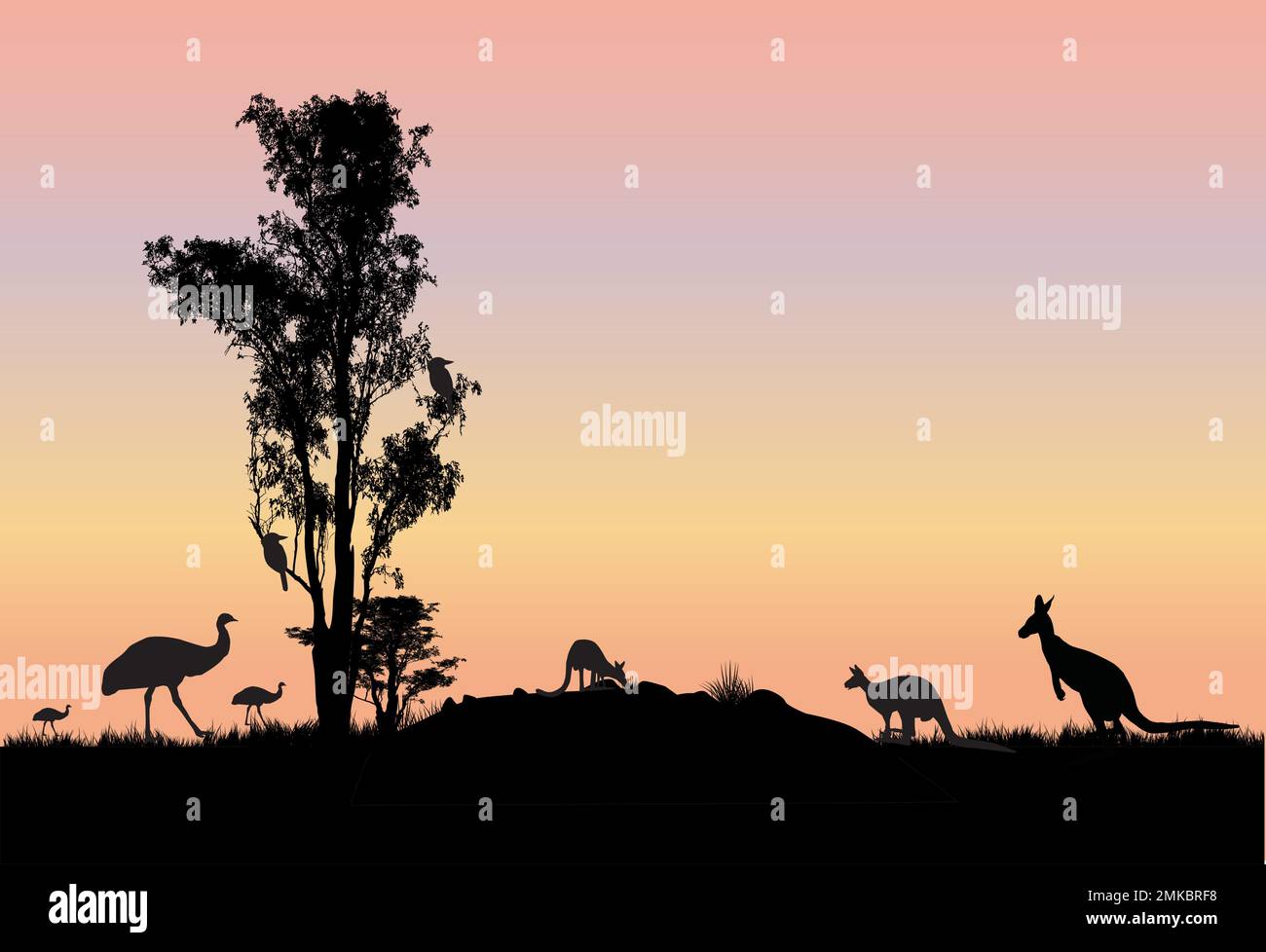 gum tree with kangaroos emus and kookaburra in tree and sunset background . Australian scene Stock Vector