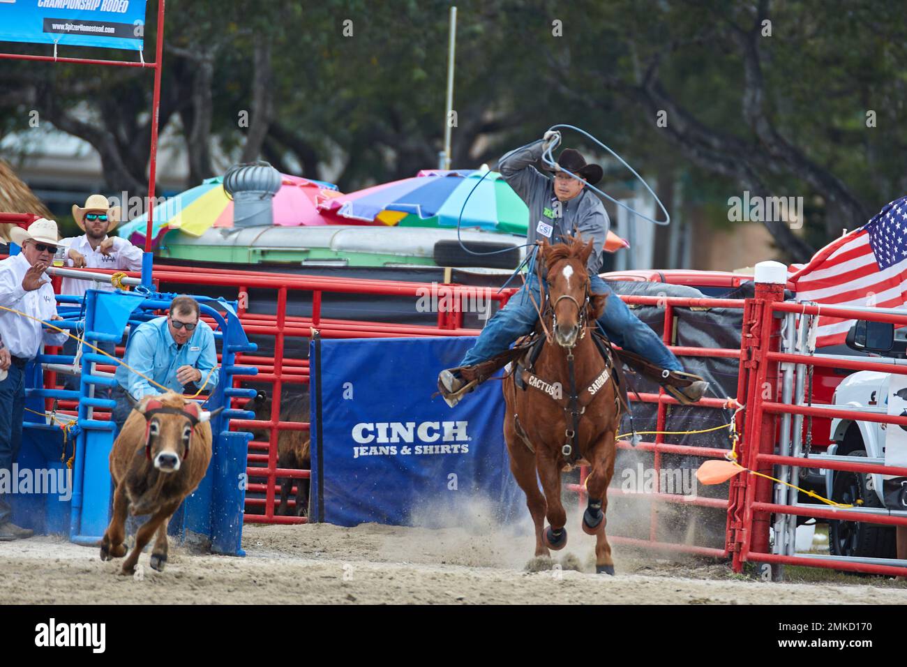 Ram racing team hi-res stock photography and images - Alamy