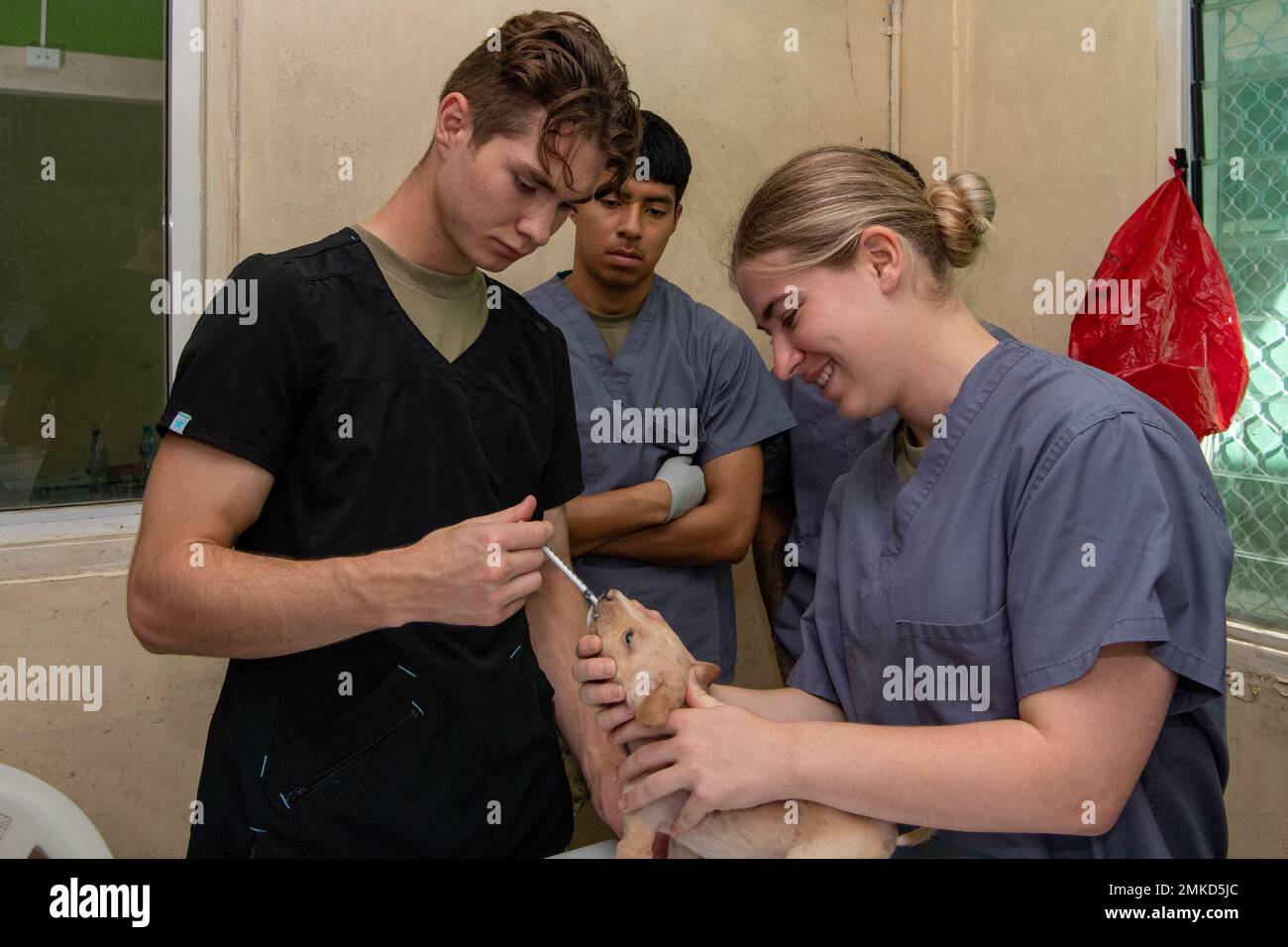 Rush springs hires stock photography and images Alamy