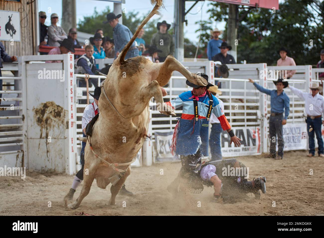 John harrison specialty act hi-res stock photography and images - Alamy