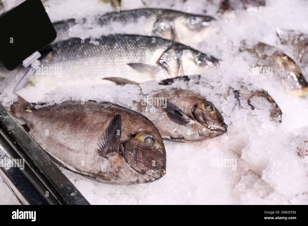 Fresh raw fish with ice in supermarket Stock Photo - Alamy
