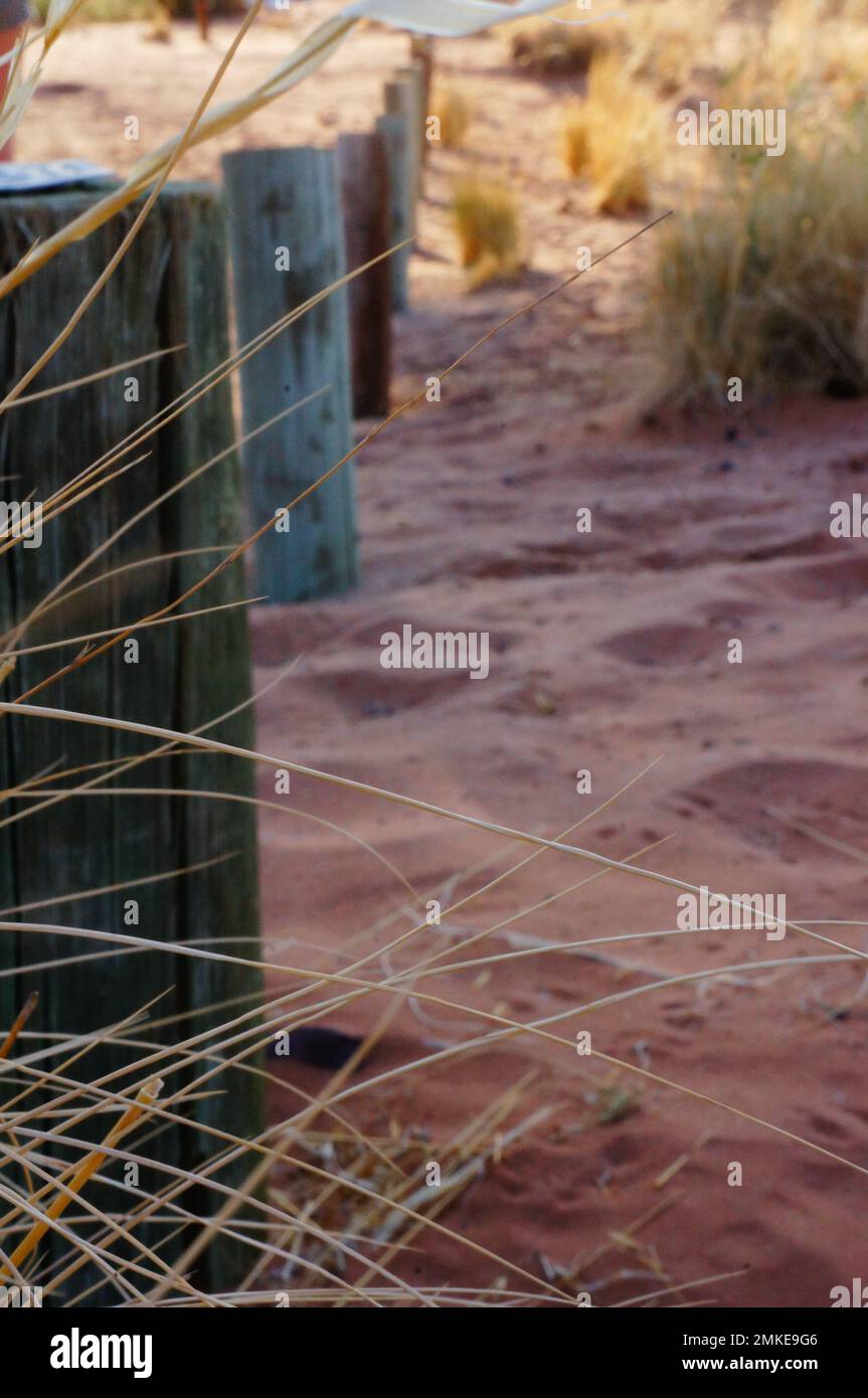 Wooden posts in the red sands of the desert Stock Photo