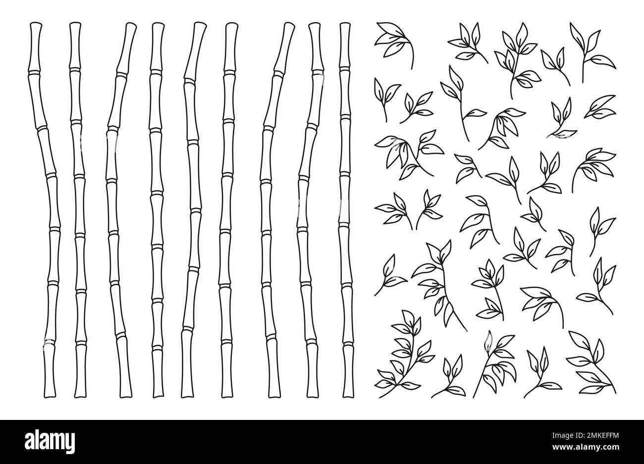 Bamboo stem and leaves outline border set. Exotic decoration elements