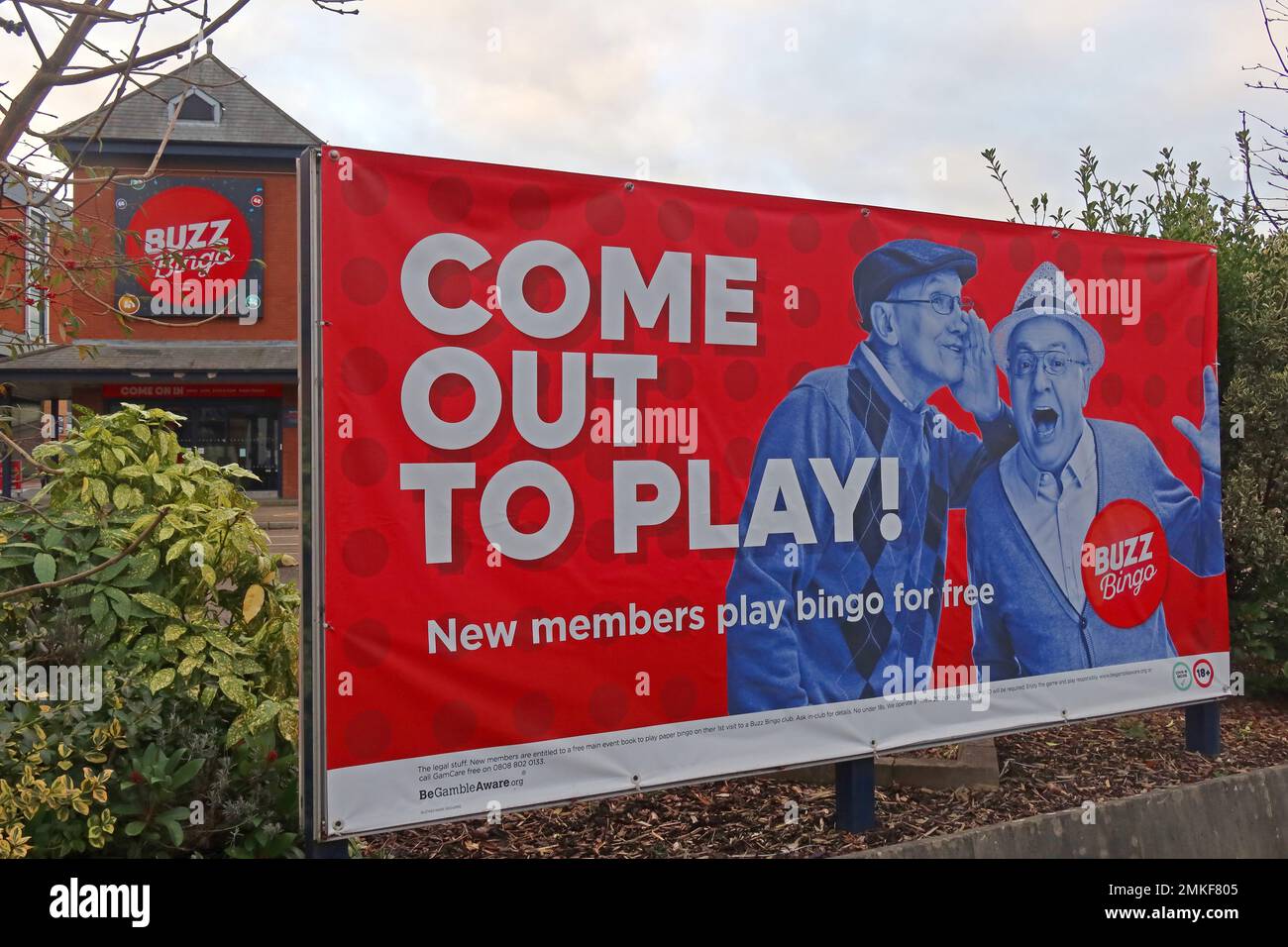 Buzz Bingo and The Slots Room - Come Out To Play - New members play bingo for free, Stock Photo