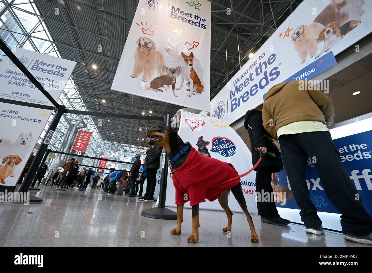 New York, USA. 28th Jan, 2023. A dog wearing a winter coat stands by as