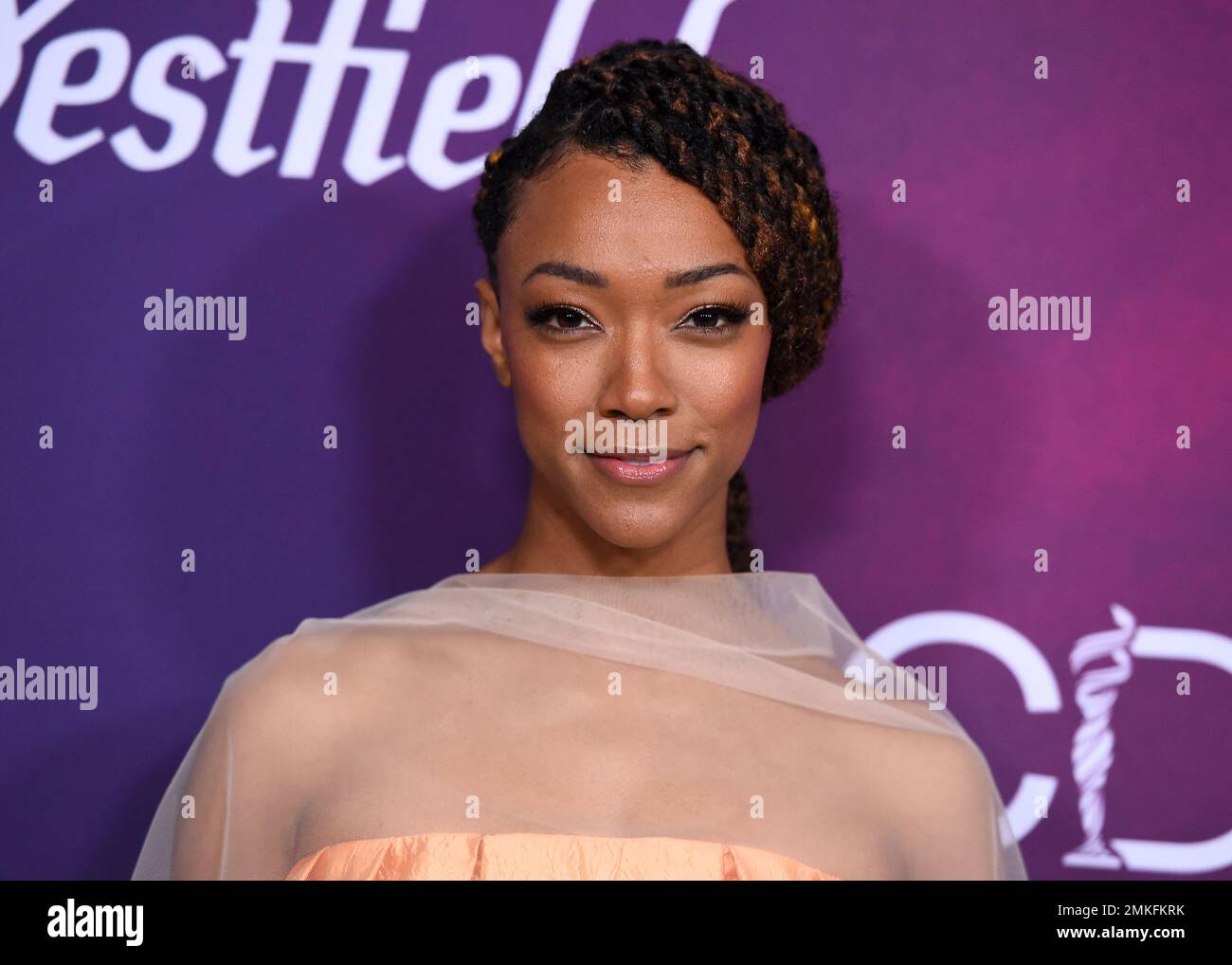 Sonequa Martin Green arrives at the 21st annual Costume Designers Guild