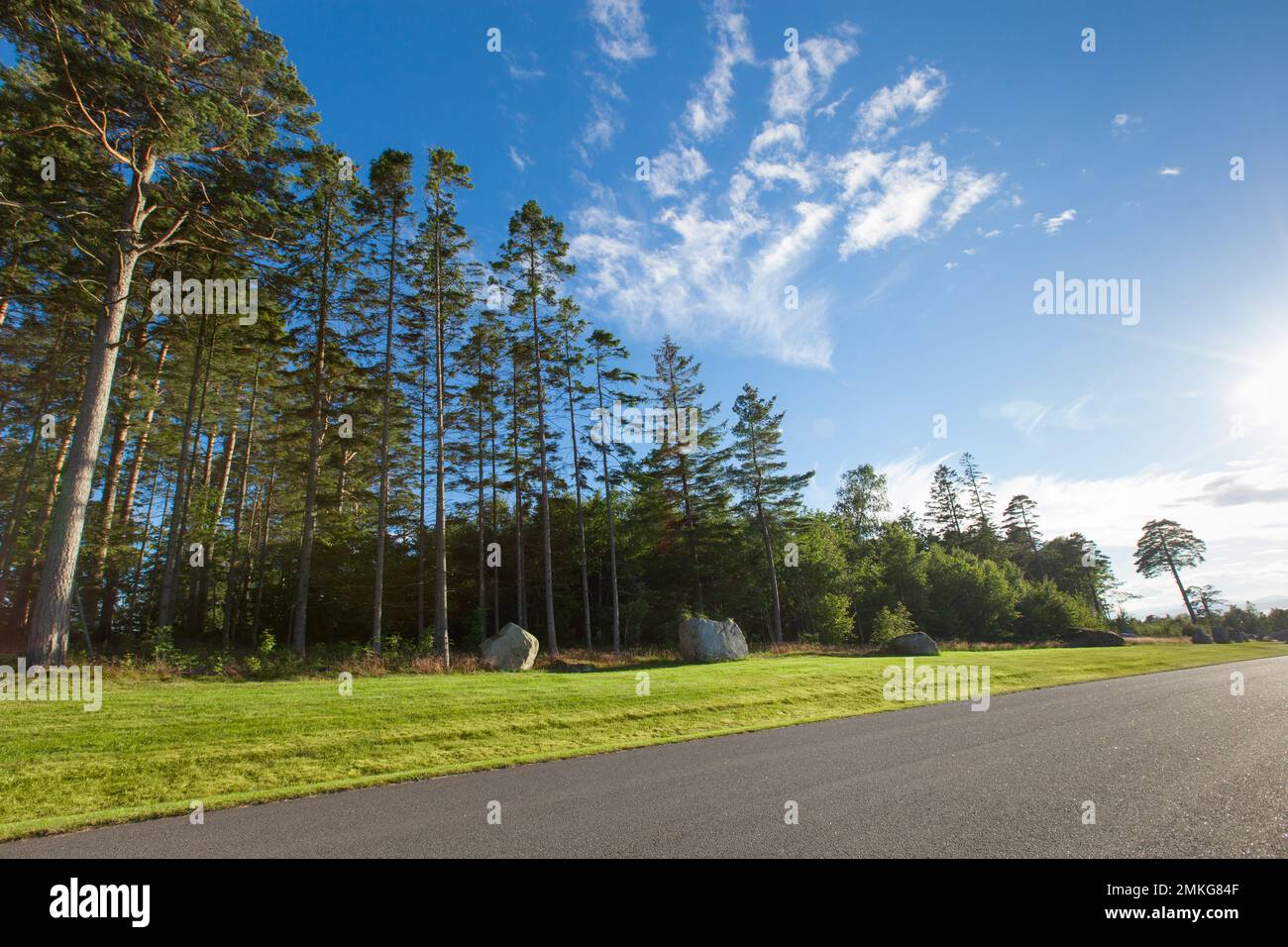 Asphalt road through the forest hi-res stock photography and images - Alamy