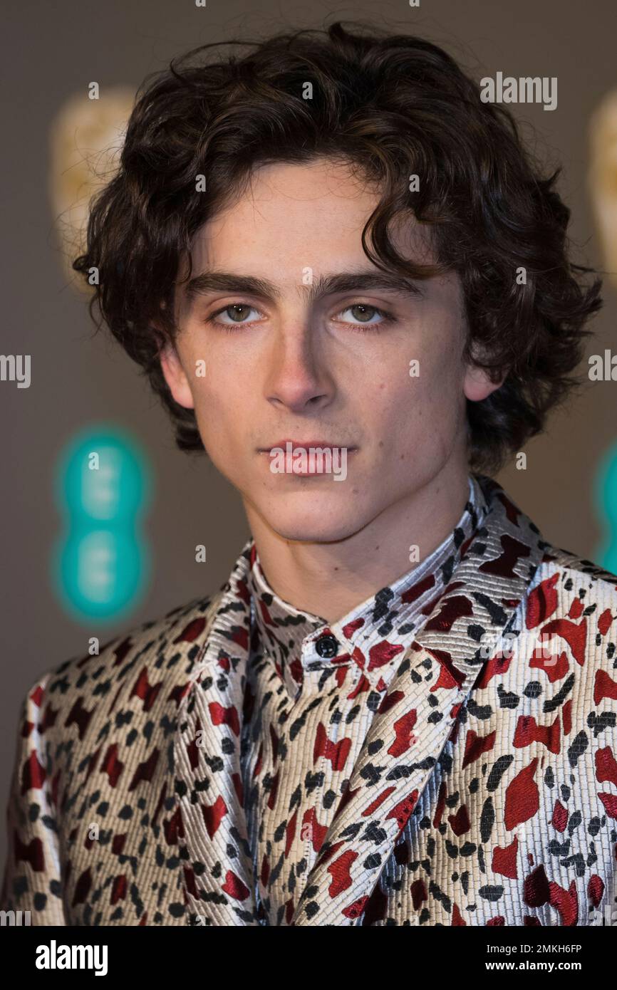 Actor Timothee Chalamet poses for photographers upon arrival at the ...