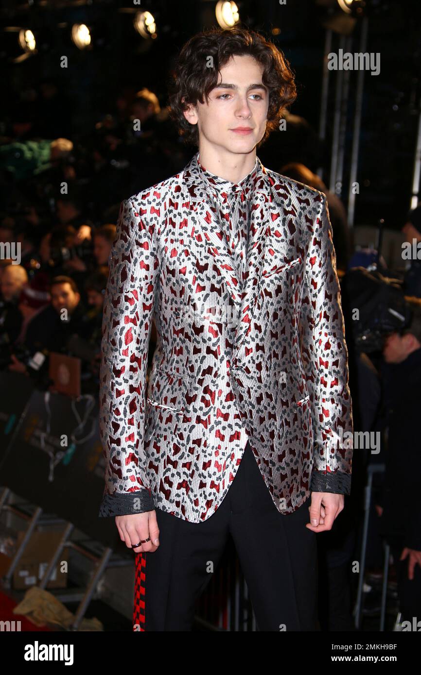 Actor Timothee Chalamet poses for photographers upon arrival at the ...