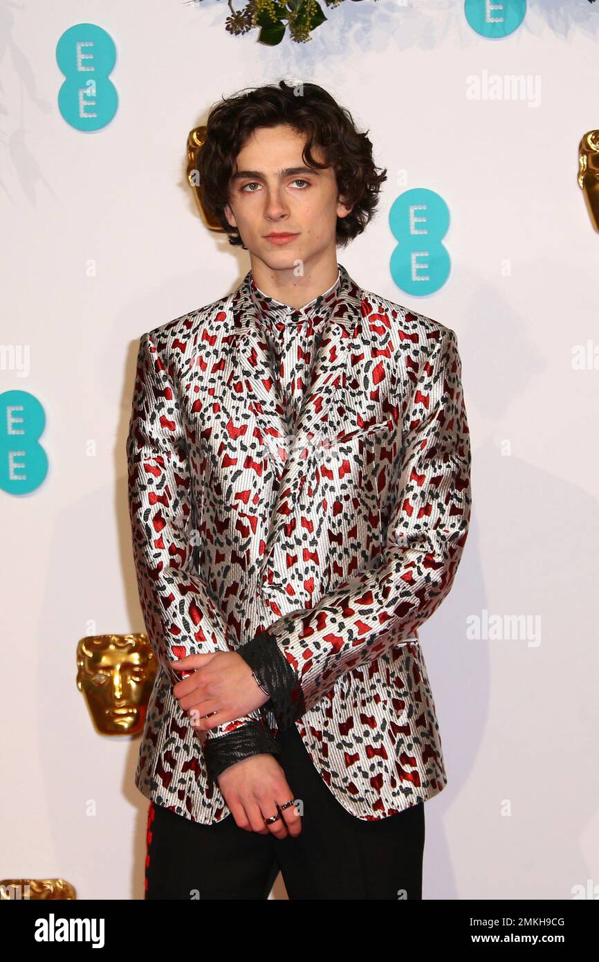 Actor Timothee Chalamet poses for photographers upon arrival at the ...