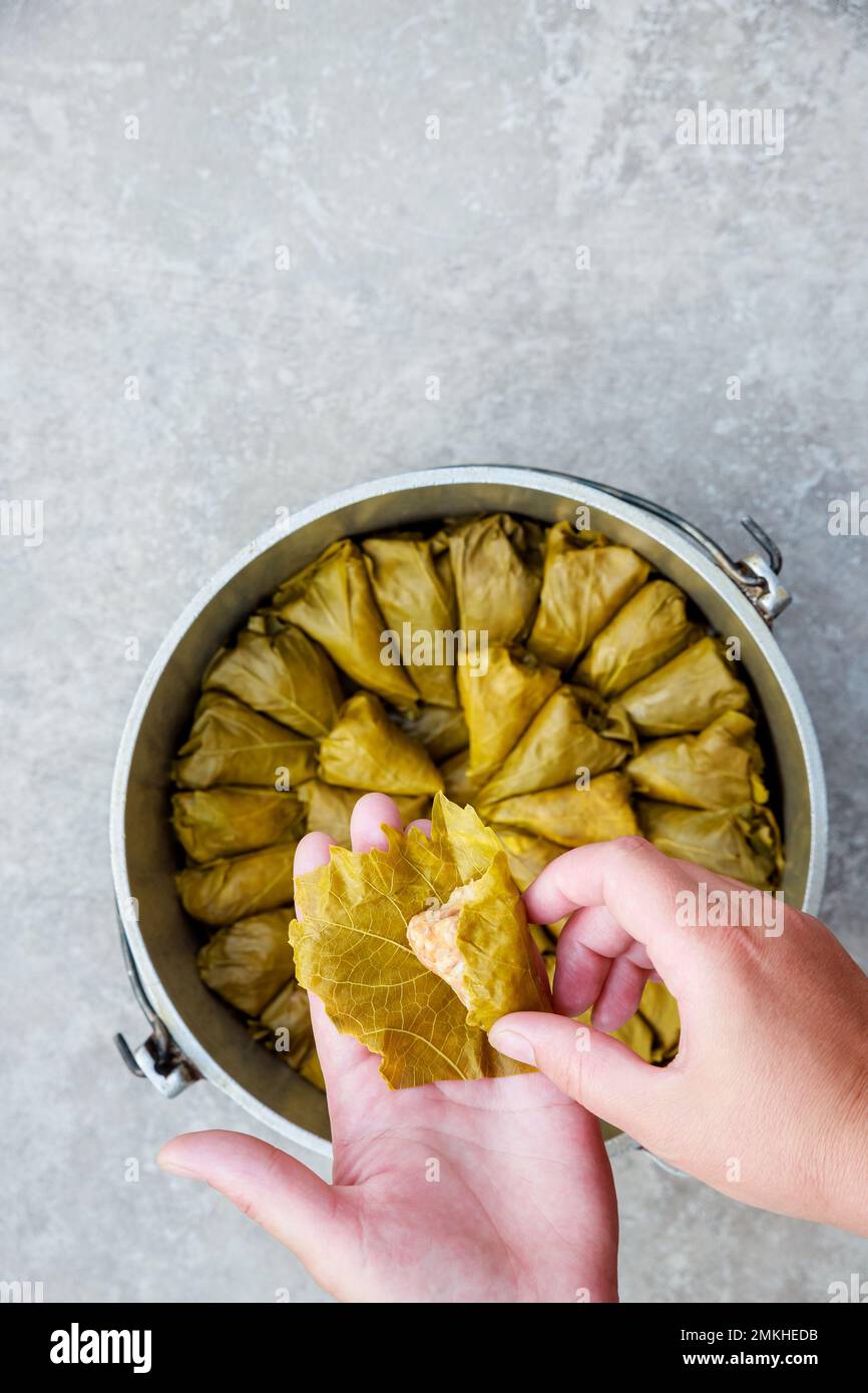 Stuffed grape leaves filled mainly with rice and herbs Stock Photo Alamy