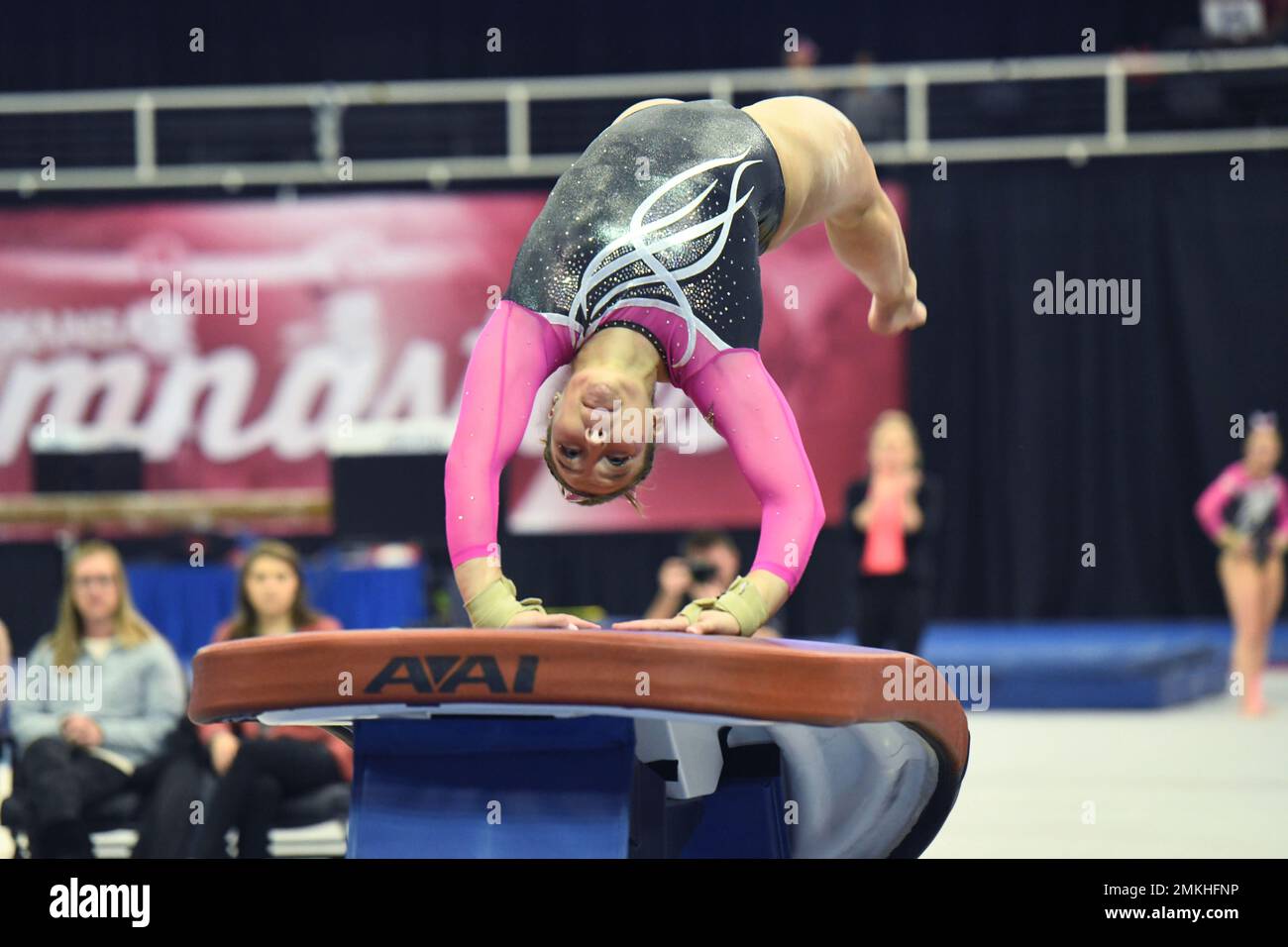Arkansas gymnast Savannah Pennese competes on the vault against Alabama