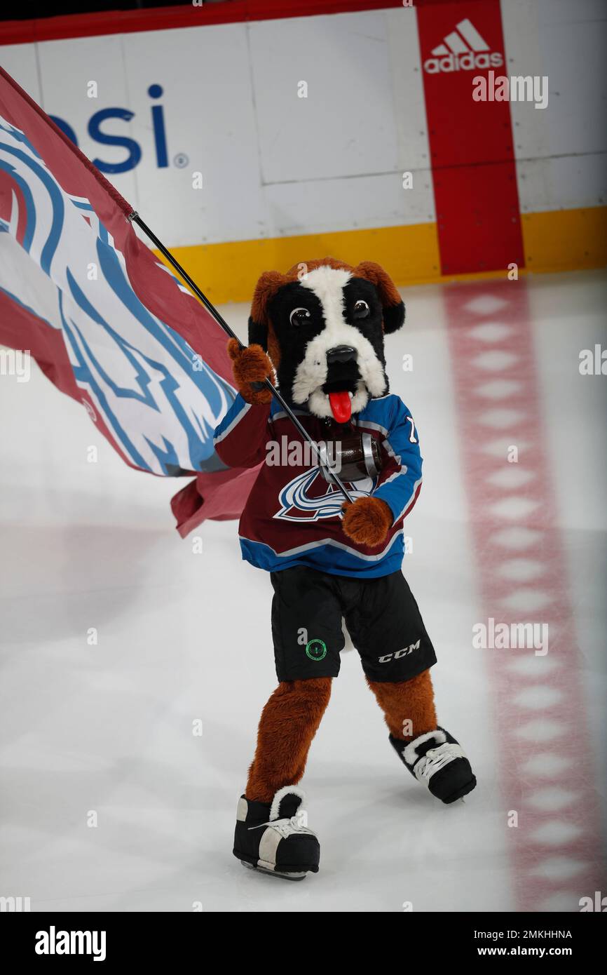 Colorado Avalanche 10 Reasons to Attend Games: Mascot Bernie