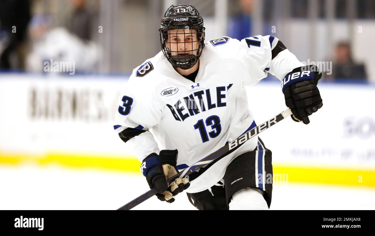 Bentley's Will Garin during an NCAA hockey game against the Air Force