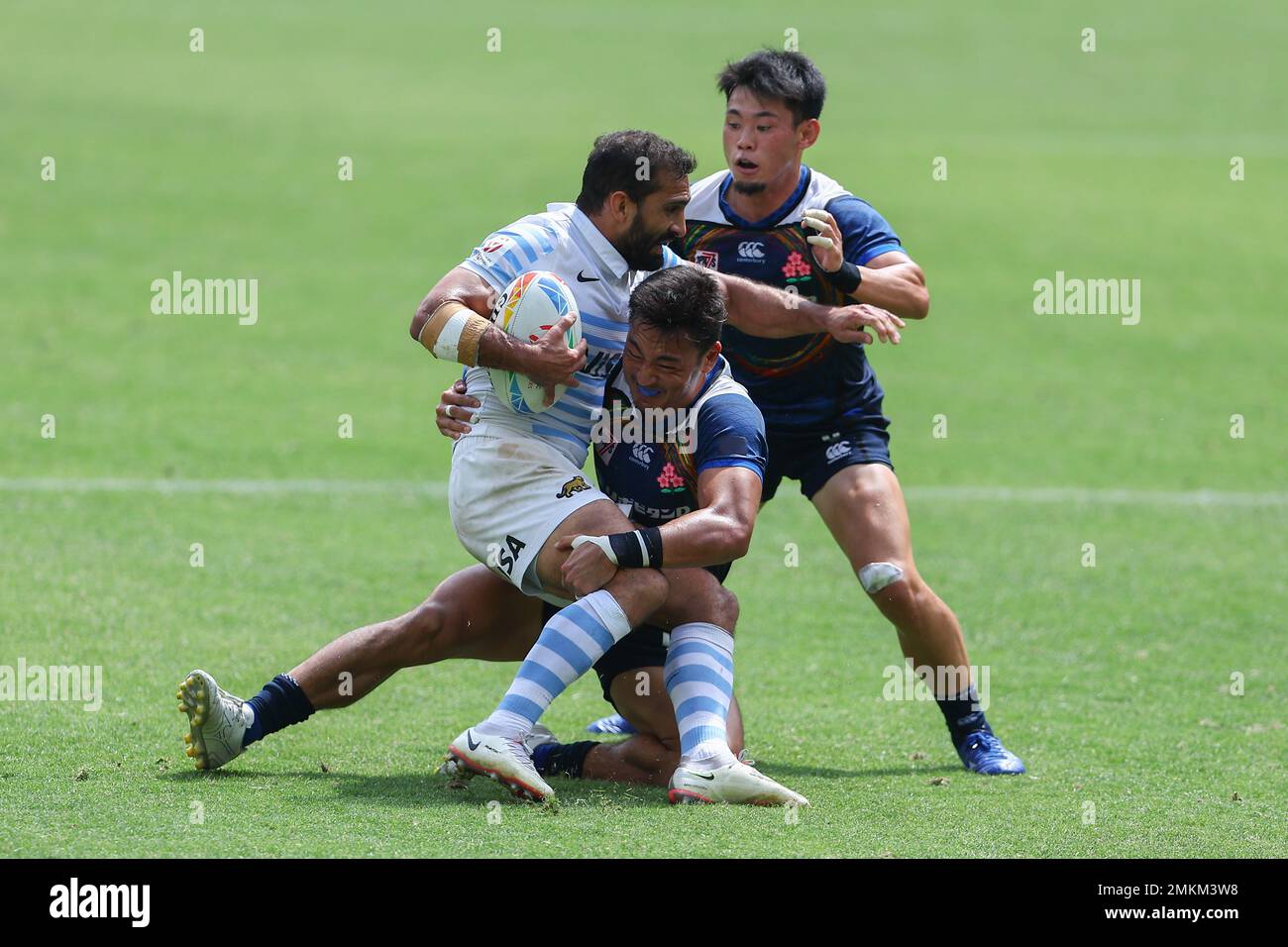 Sydney, Australia. 29th January 2023; Allianz Stadium, Sydney, NSW ...