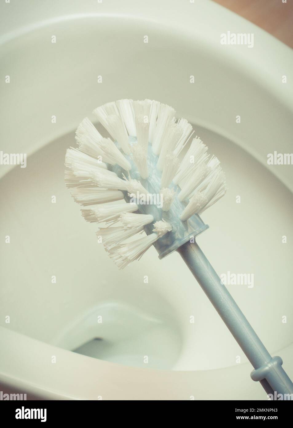Different Toilet Cleaning Supplies On Wooden Stock Photo