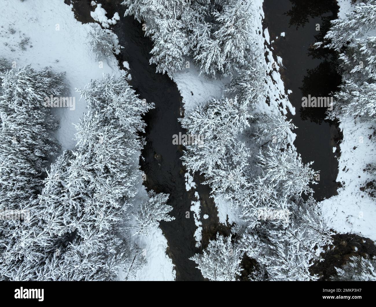 An aerial view of a frozen river flowing through snow-covered forests ...