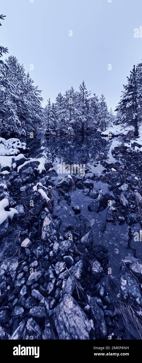 An aerial view of a frozen river flowing through snow-covered forests ...