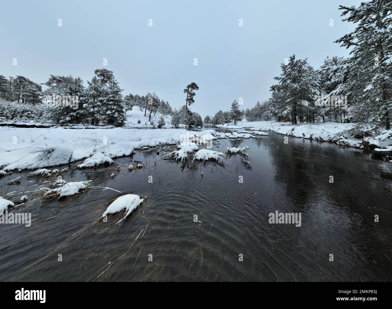 An aerial view of a frozen river flowing through snow-covered forests ...