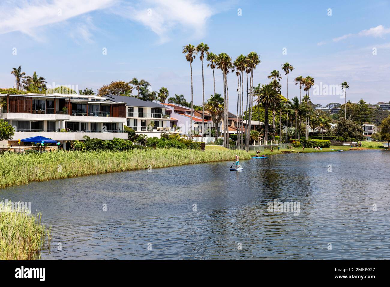 Australian rushes hi-res stock photography and images - Alamy