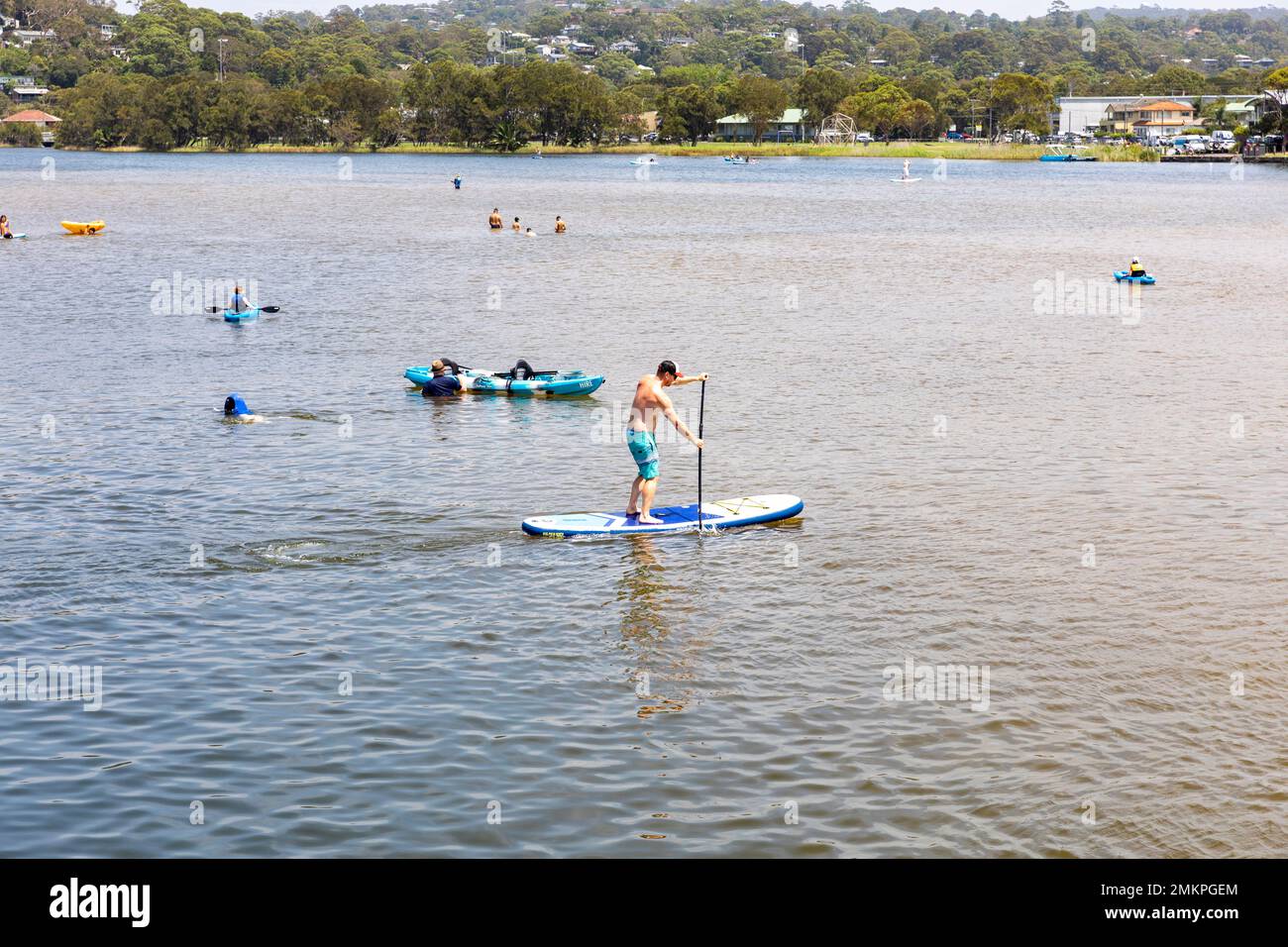 Narrabeen Lagoon lake on Sydney northern beaches, man paddle boarding whilst others kayak and swim in the lagoon,Sydney,NSW,Australia summer 2023 Stock Photo
