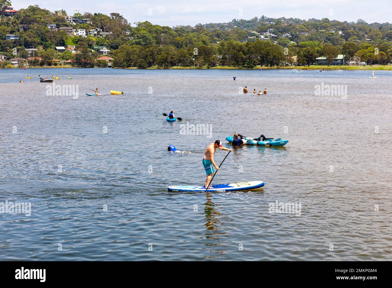 Narrabeen Lagoon lake on Sydney northern beaches, man paddle boarding whilst others kayak and swim in the lagoon,Sydney,NSW,Australia summer 2023 Stock Photo
