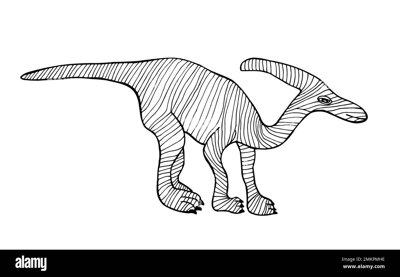 Parasaurolophus vector illustration Stock Vector Image & Art - Alamy