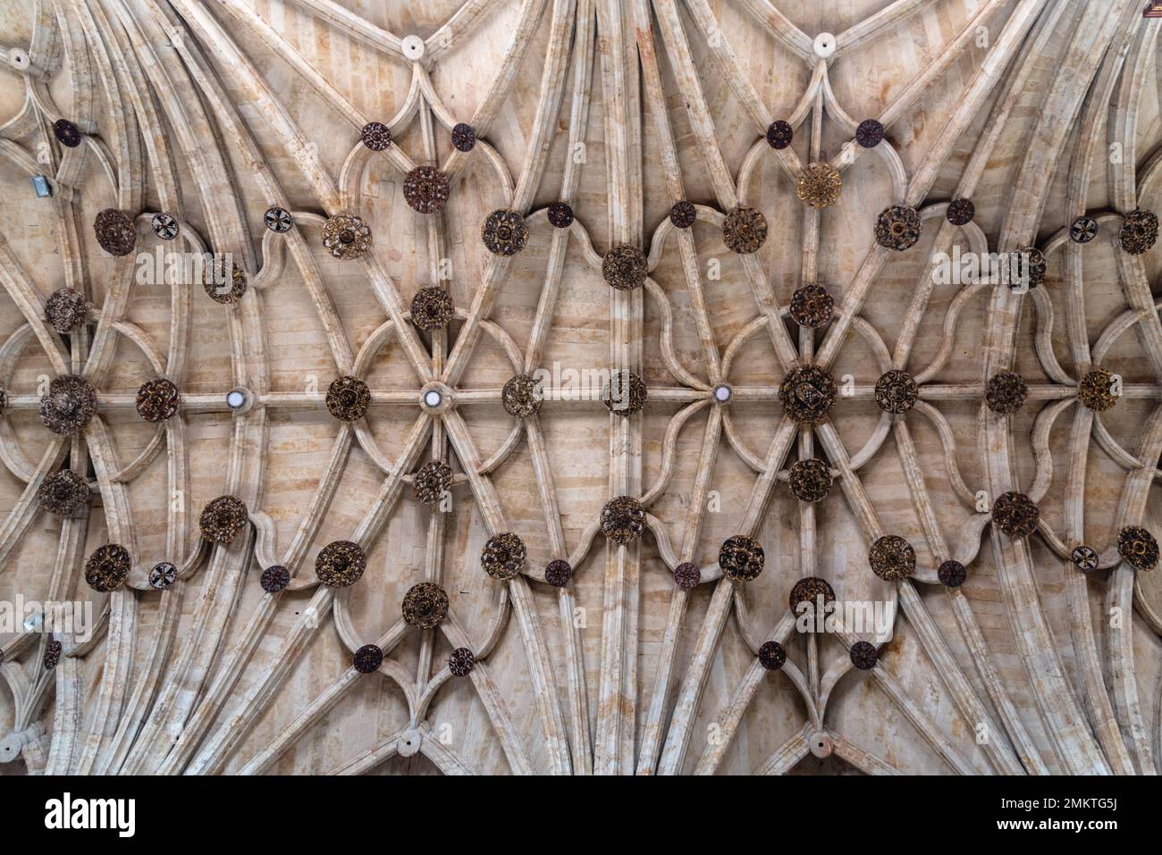 Renaissance Ribbed Vault in the Cathedral of Salamanca in Spain. Directly Below View Stock Photo