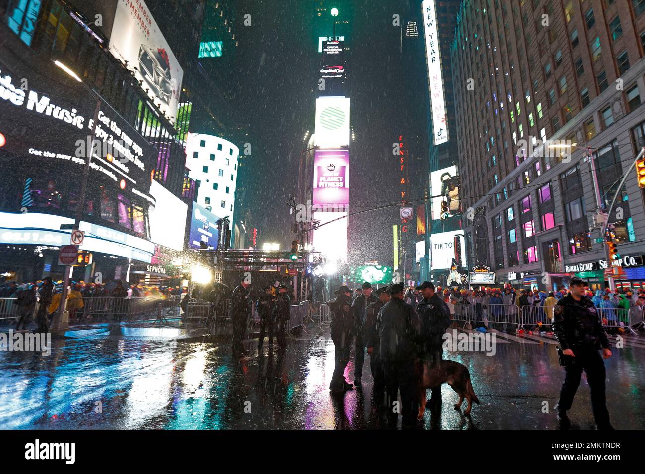 New York City canine police officers stand near revelers gathered in ...