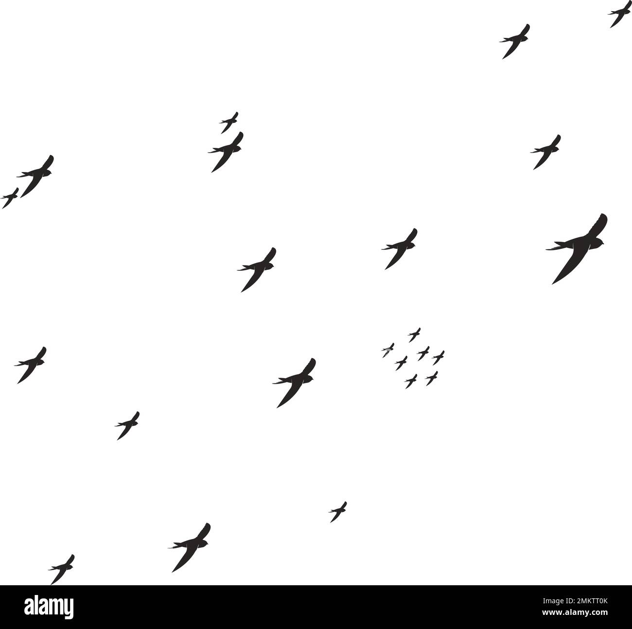 Common swallow Stock Vector Images - Alamy
