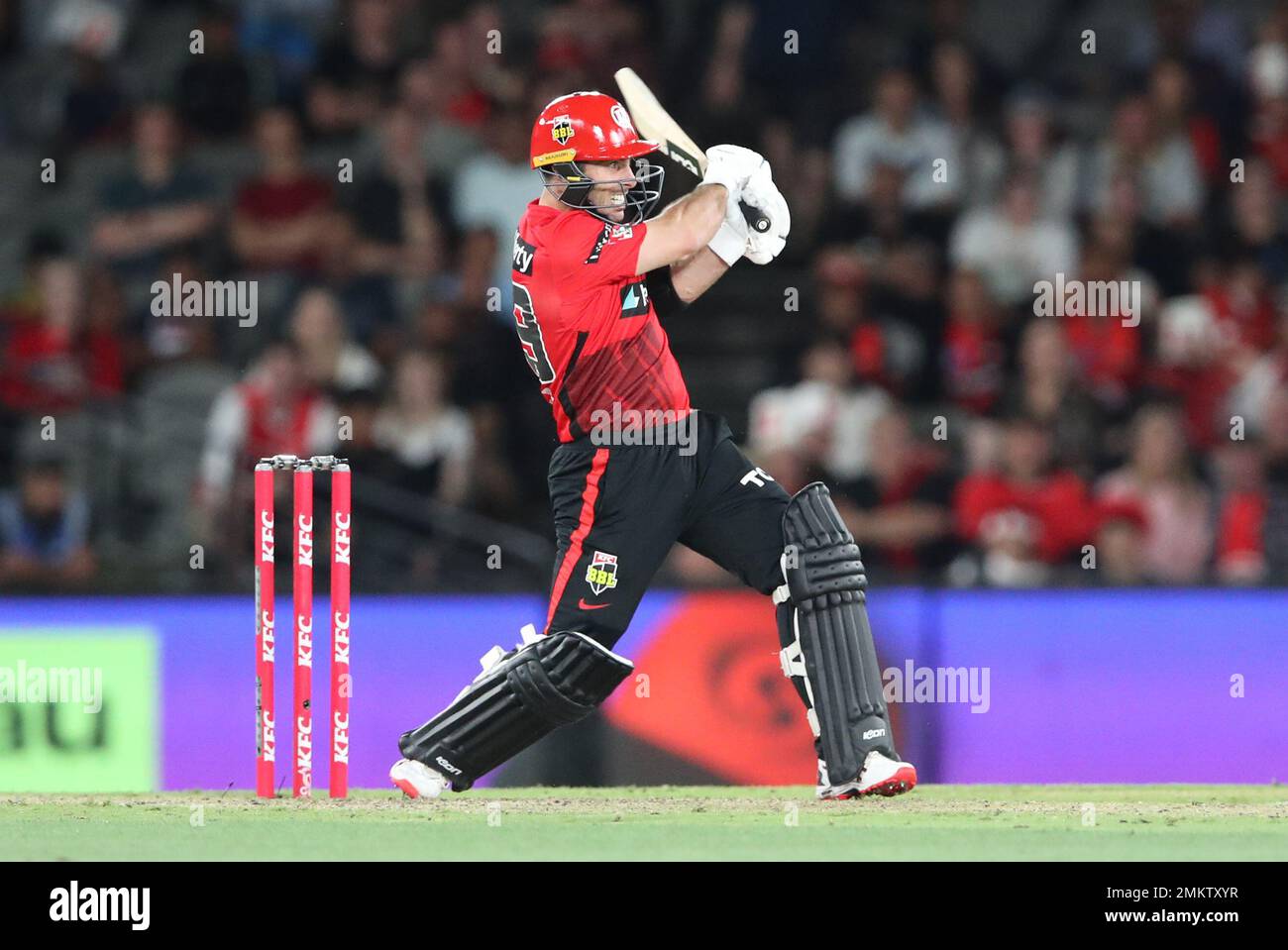 Jonathan Wells batting for the Renegades during the Cricket BBL 'The