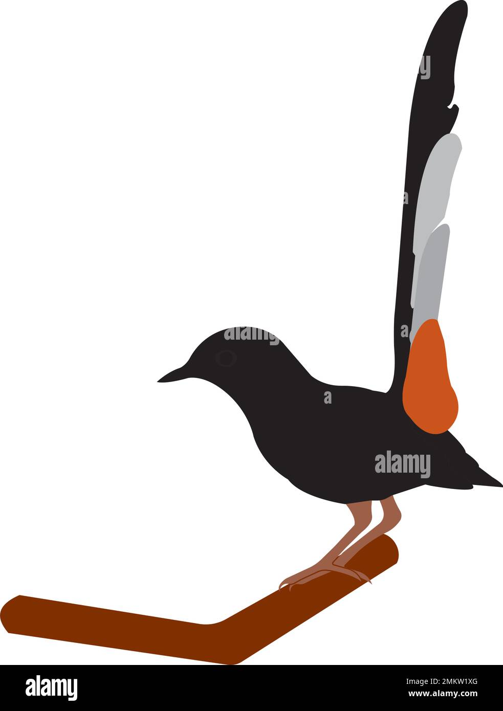 Vector illustration of a super chirping bird. Can be used as a very attractive Logo, Brand and Mascot. Stock Vector