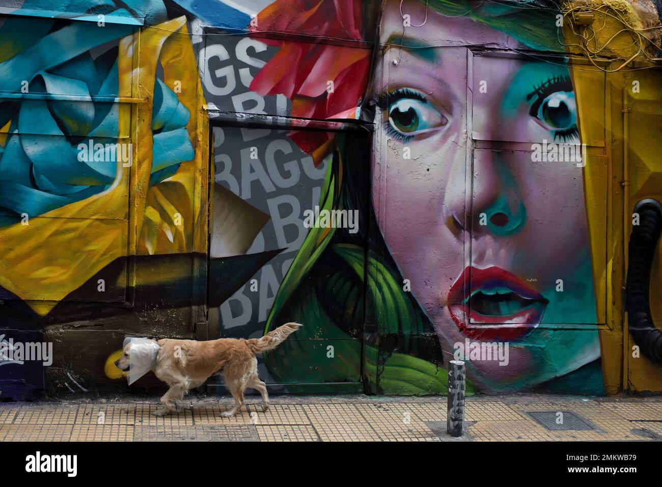 A dog walks past a mural by street artist Alex Martinez outside a shop in the Psiri area of central Athens, on Thursday, Jan. 25, 2018. (AP Photo/Petros Giannakouris) Stock Photo