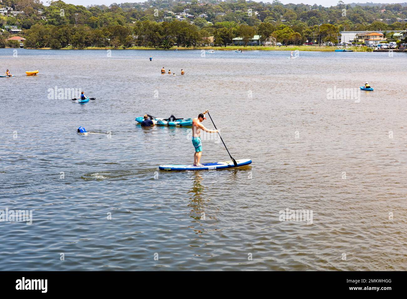Man paddle boarding in Narrabeen lake lagoon Sydney on a hot summers day, kayak and others enjoy the cool water,Sydney,NSW,Australia Stock Photo