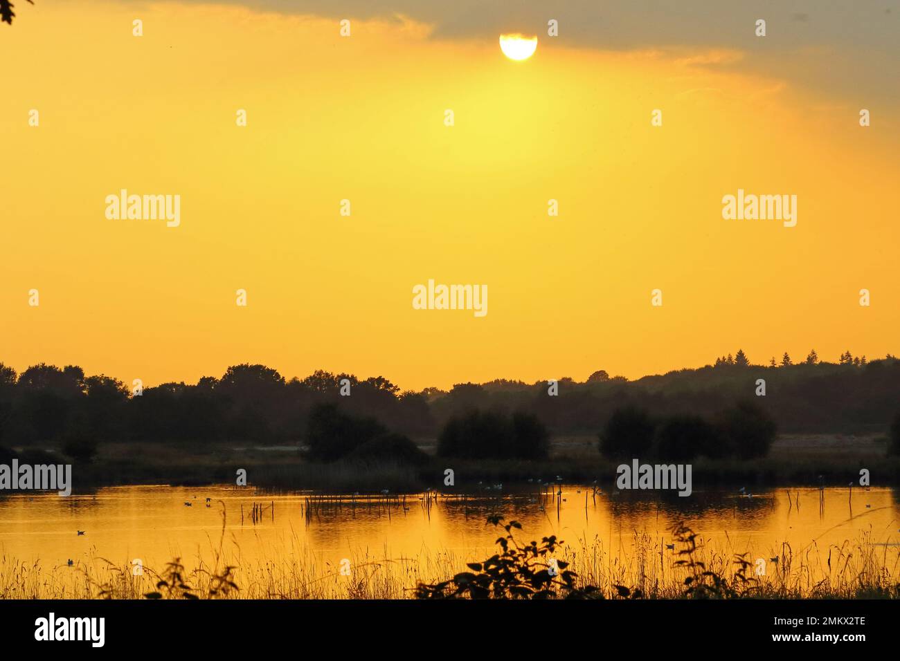 Golden our over the lake hi-res stock photography and images - Alamy