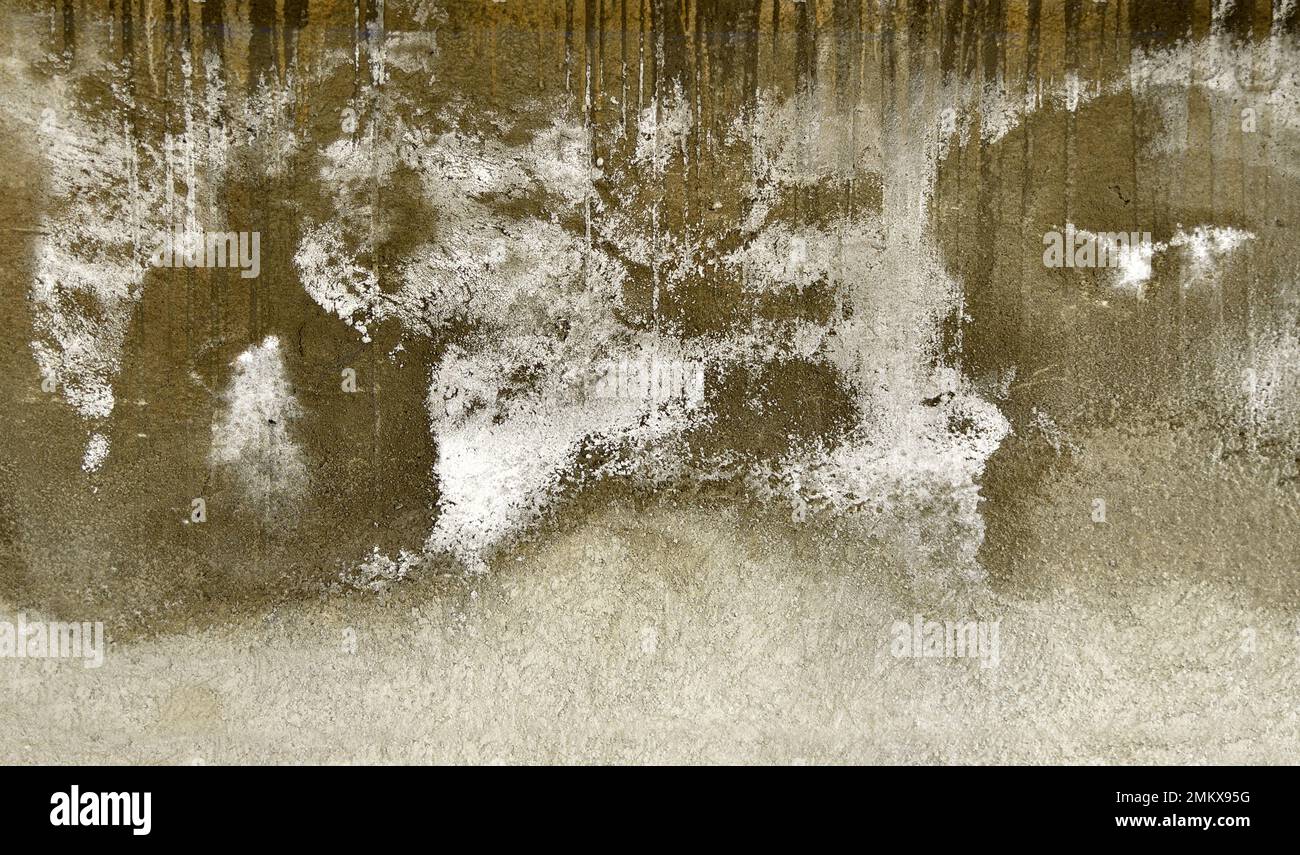 Rain water leaks on the roof causing damage Stock Photo Alamy