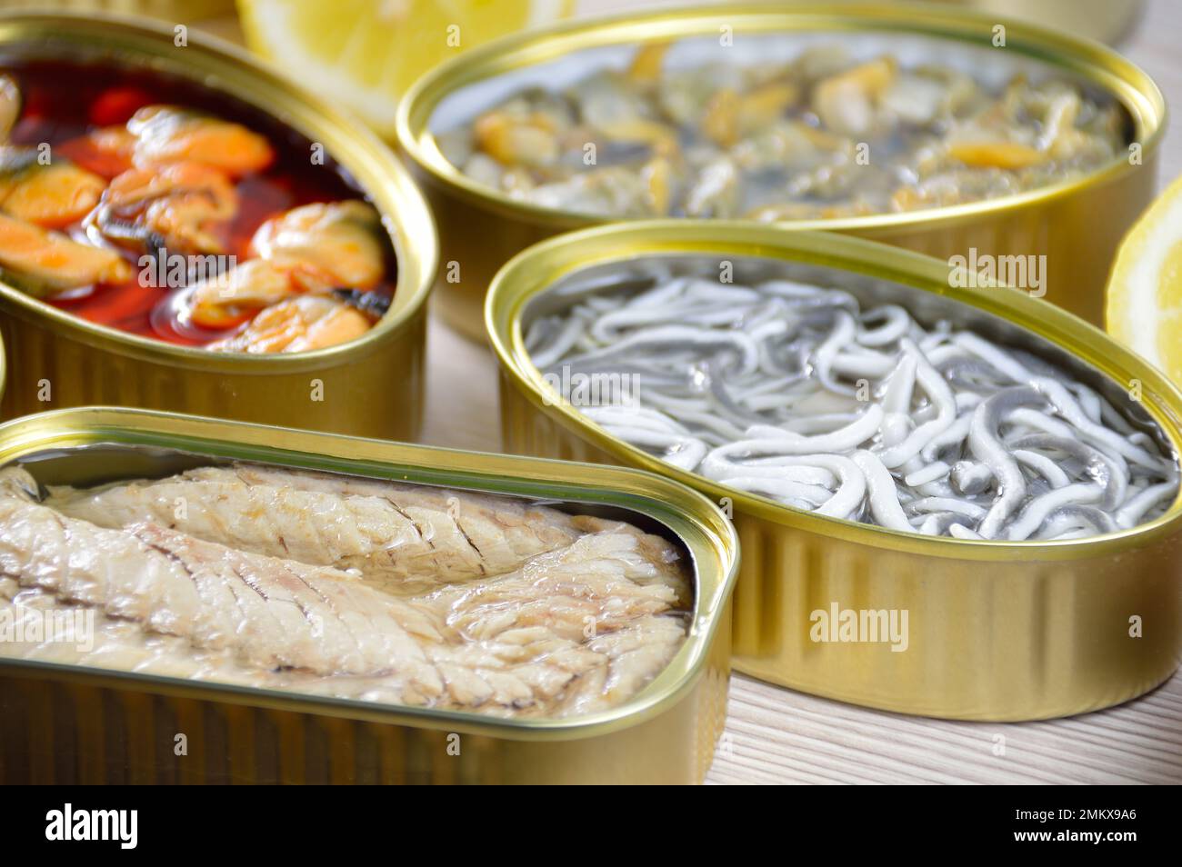 Assortment of cans of canned with different types of fish and seafood