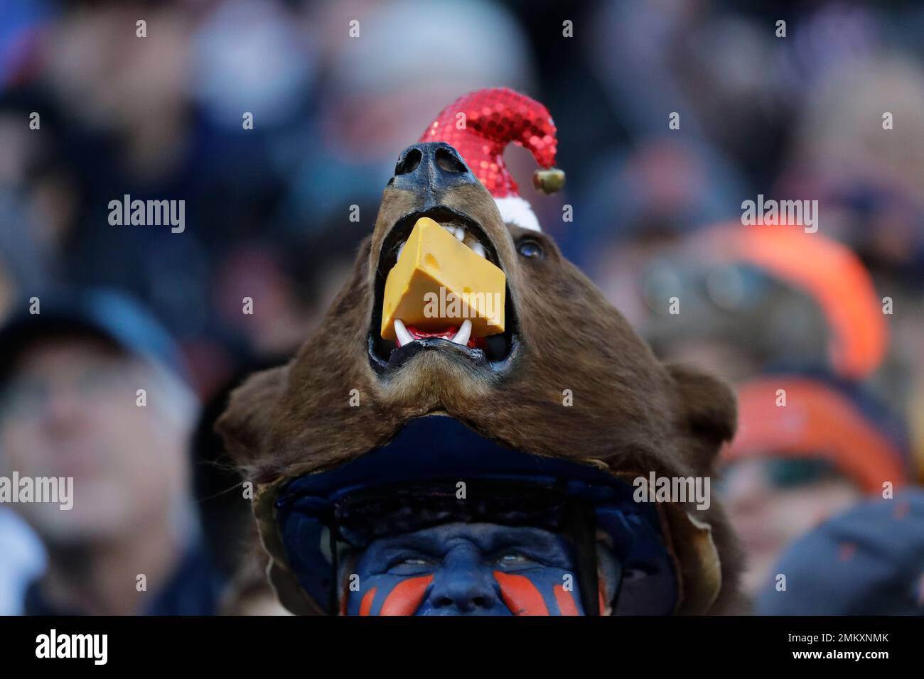 A Chicago Bears fan wears a bear hat during the second half of an