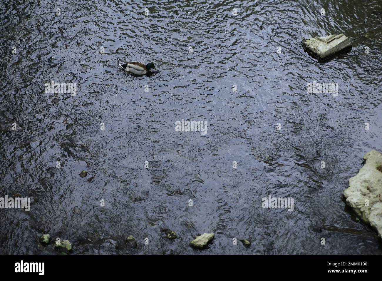 Blue Stream Made From Rocks River stream blue water flowing on stones. nature background Stock ...
