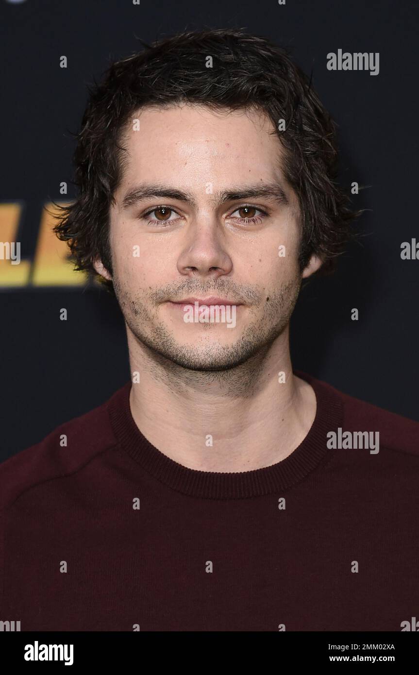 Dylan O'Brien attends the LA premiere of "Bumblebee" at TCL Chinese
