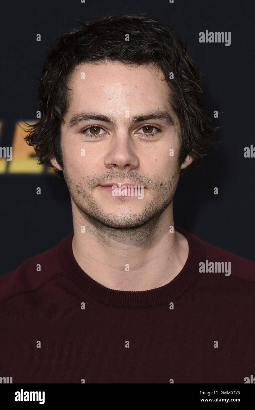 Dylan O'Brien attends the LA premiere of "Bumblebee" at TCL Chinese