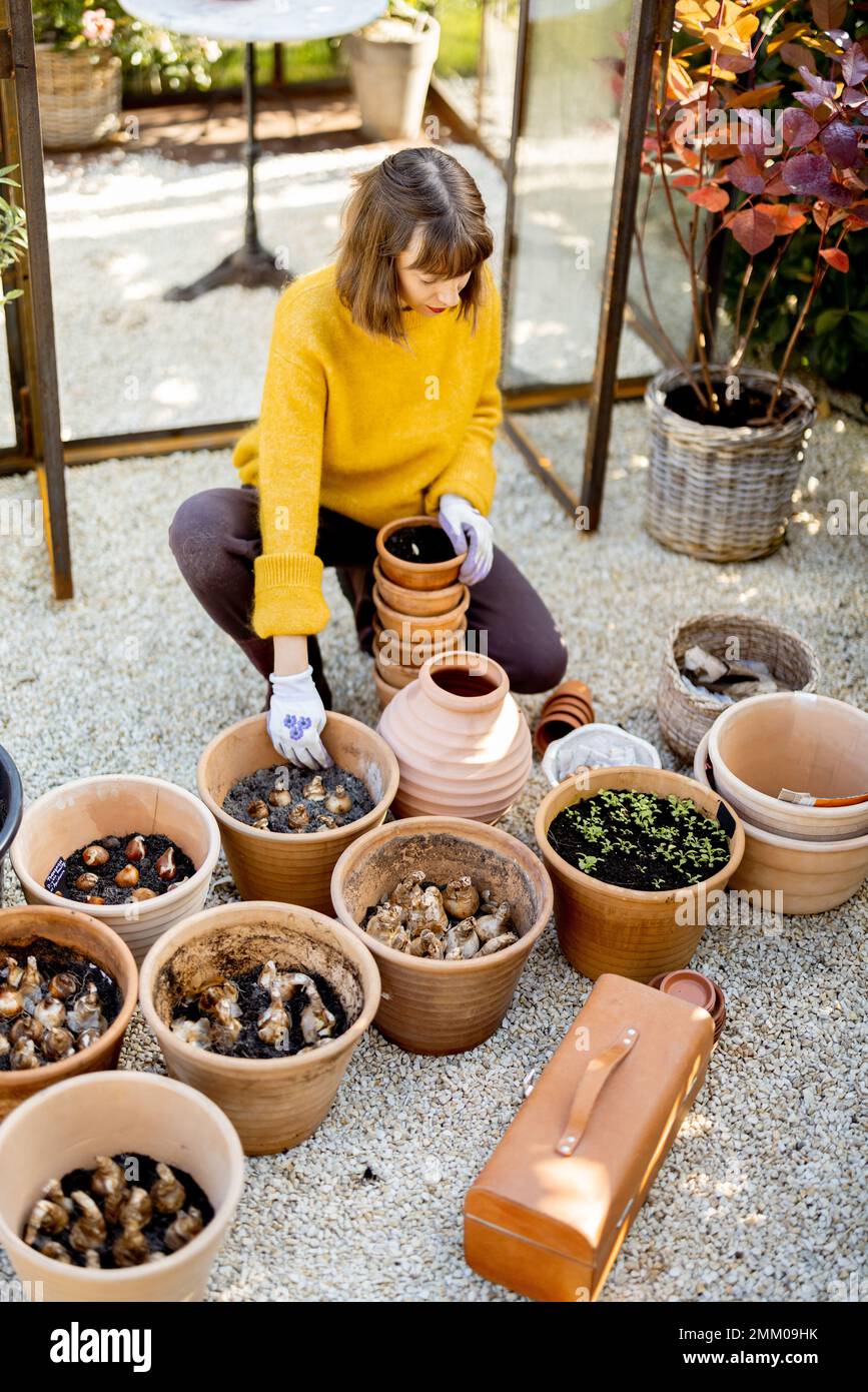 Woman planting flowers in jugs at garden Stock Photo - Alamy