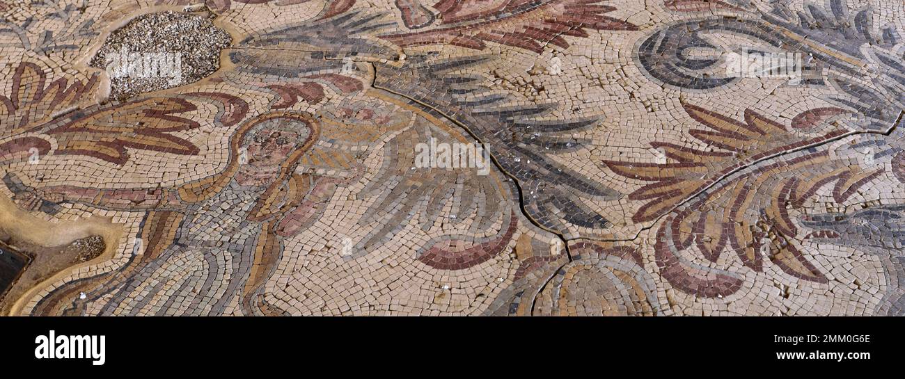 Mount nebo basilica mosaic hi-res stock photography and images - Alamy