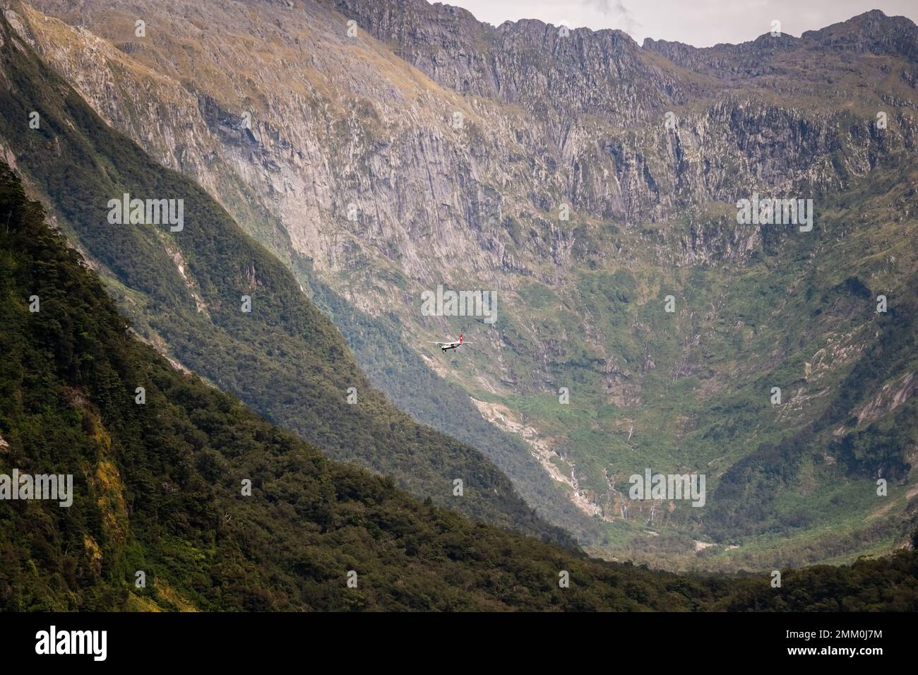 Milford Sound, Fiordland, New Zealand - 18th December 2022: A light aircraft comes into land at Milford Sound Airport beneath towering, heavily forest Stock Photo