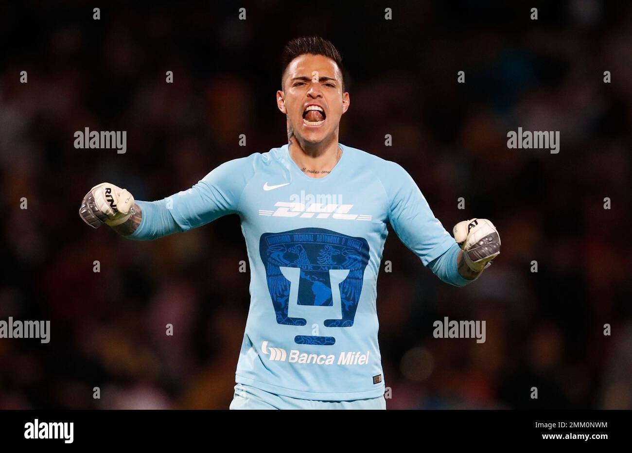 Pumas goalie hotsell