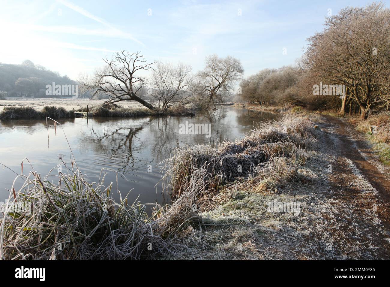 A still River Wey on a cold frosty morning, Surrey, UK. Stock Photo