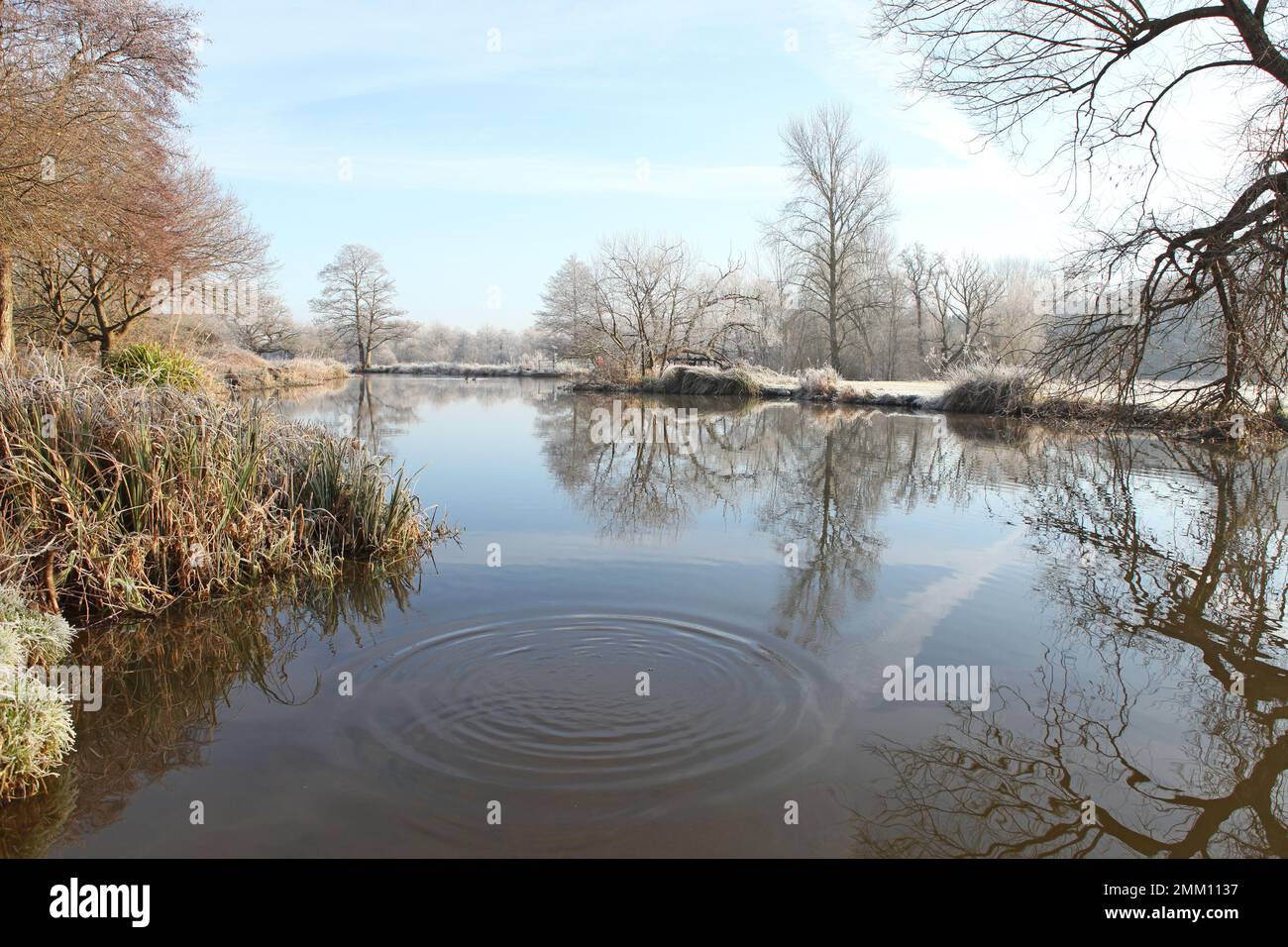A still River Wey on a cold frosty morning, Surrey, UK. Stock Photo